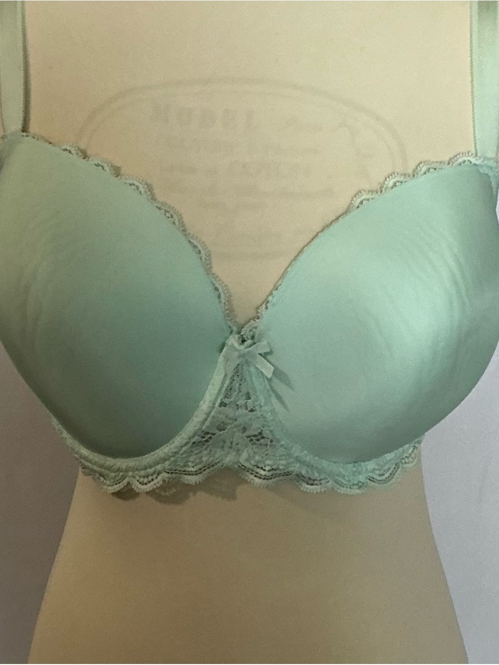 Victoria’s Secret Mint Green Lined Demi Lace Underwire Bra 38DDD
